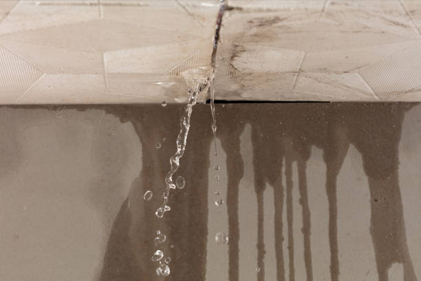 Professional Water Extraction technician working in Abita Springs, LA